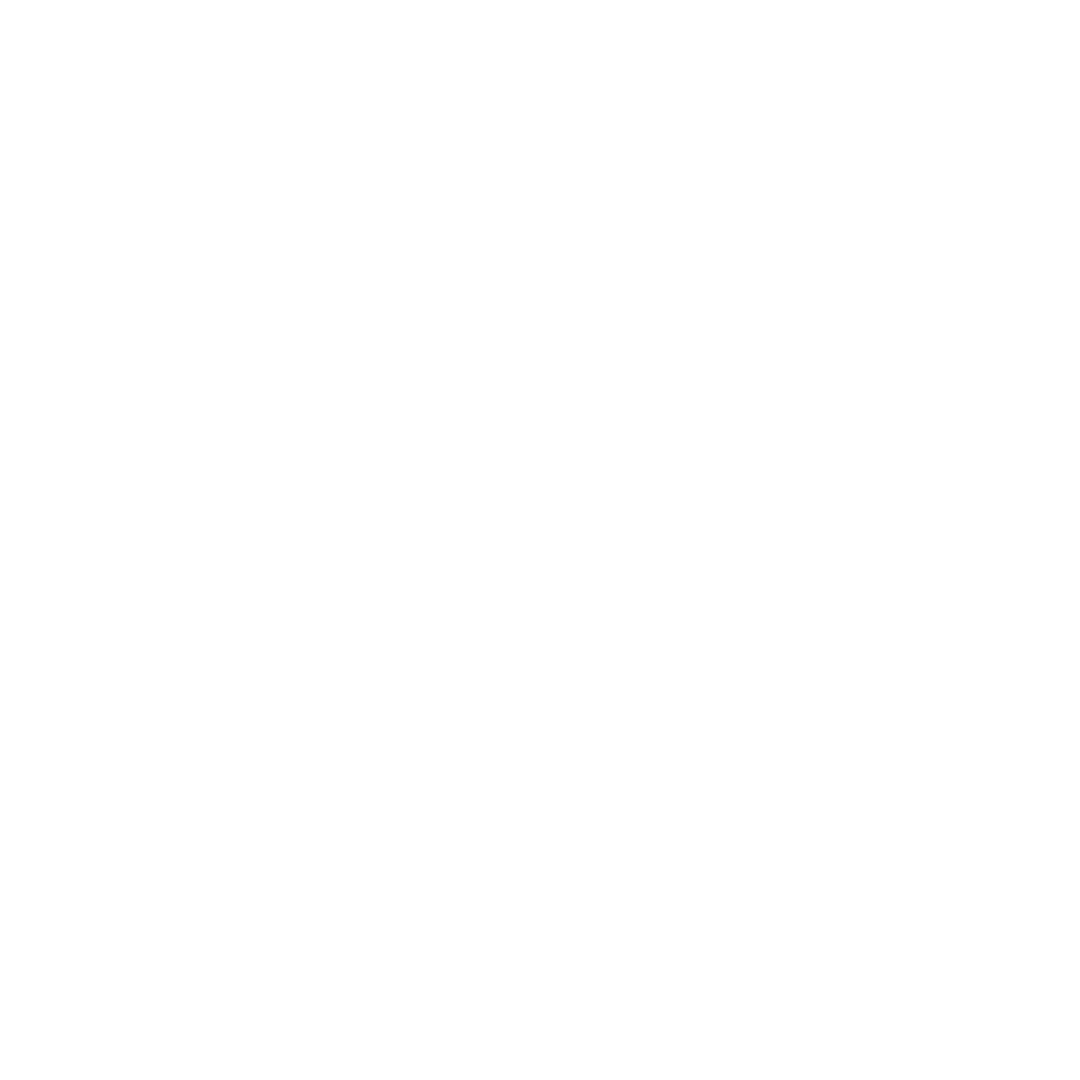 annatop-logo-blanco